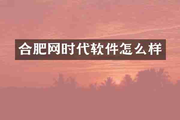 合肥网时代软件怎么样
