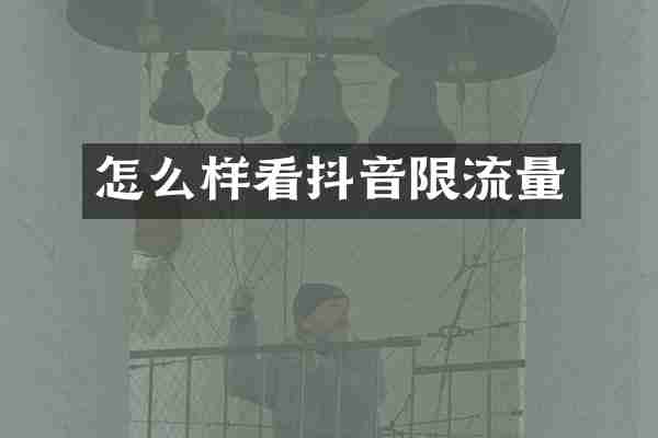 怎么样看抖音限流量