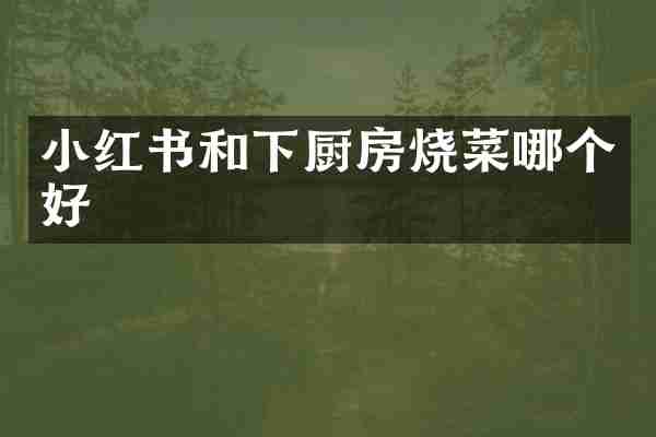 小红书和下厨房烧菜哪个好