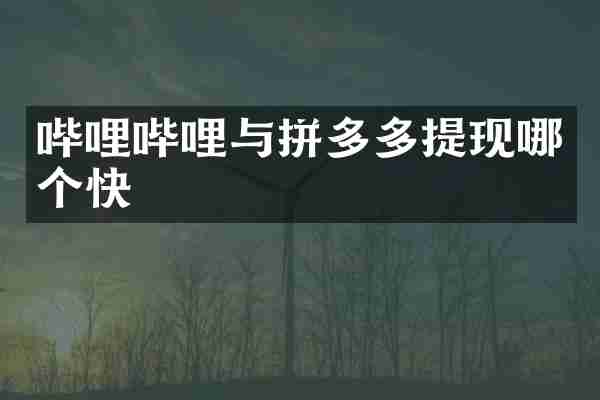 哔哩哔哩与拼多多提现哪个快