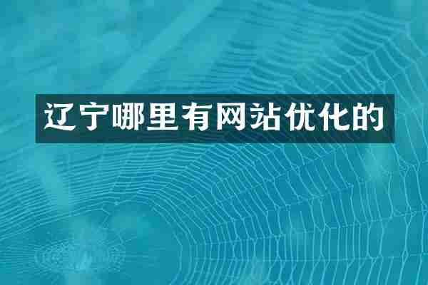 辽宁哪里有网站优化的
