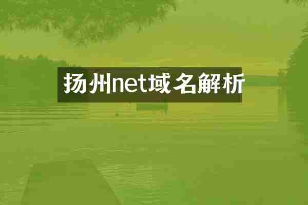 扬州net域名解析
