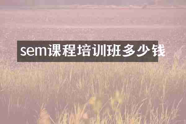 sem课程培训班多少钱