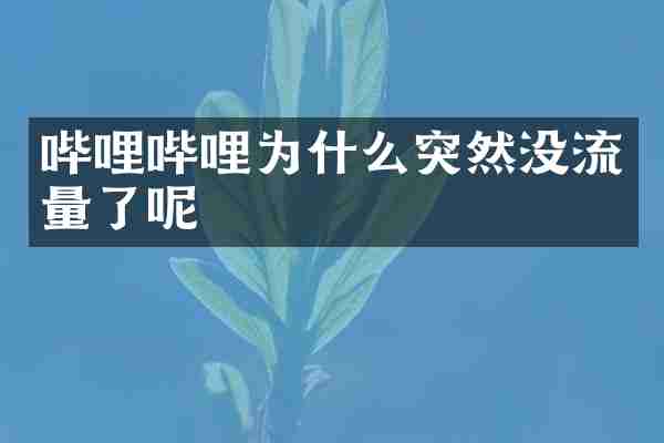 哔哩哔哩为什么突然没流量了呢