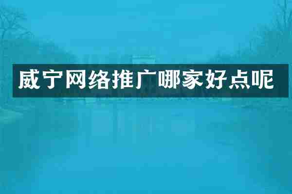威宁网络推广哪家好点呢