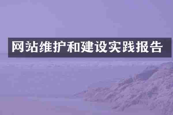 网站维护和建设实践报告