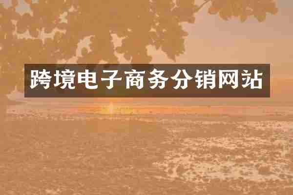 跨境电子商务分销网站