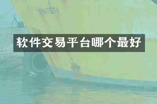 软件交易平台哪个最好