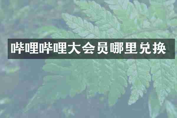 哔哩哔哩大会员哪里兑换