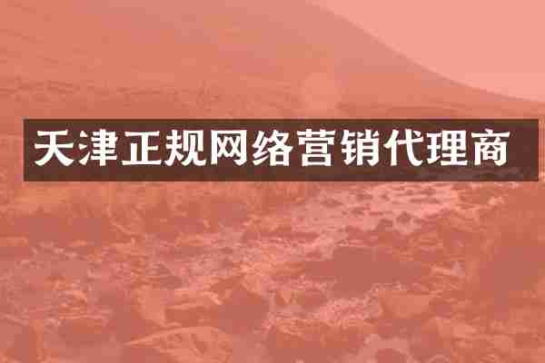 天津正规网络营销代理商