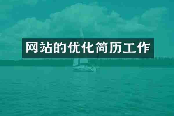 网站的优化简历工作