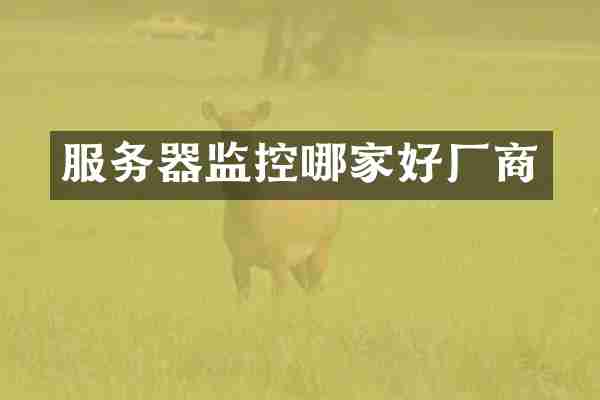 服务器监控哪家好厂商