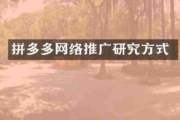 拼多多网络推广研究方式