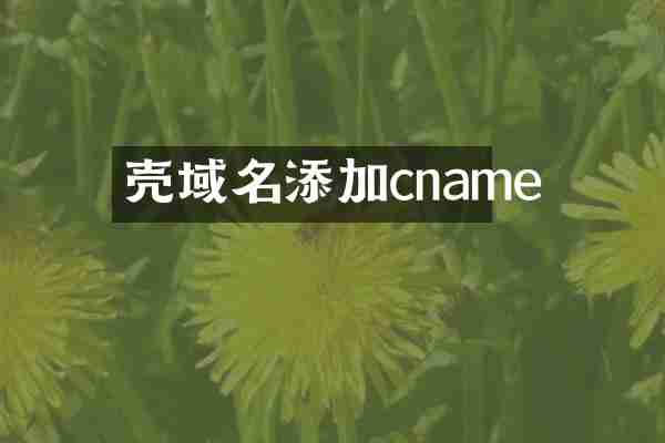 壳域名添加cname