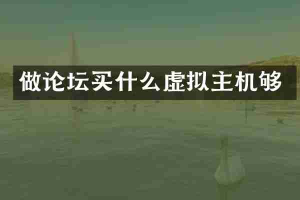 做论坛买什么虚拟主机够