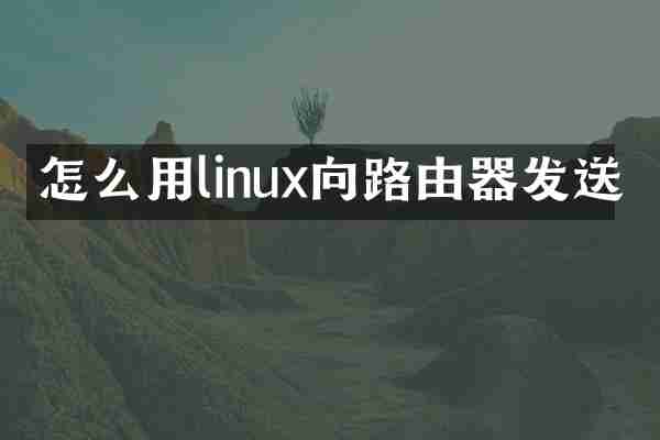 怎么用linux向路由器发送