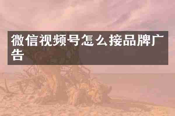 微信视频号怎么接品牌广告