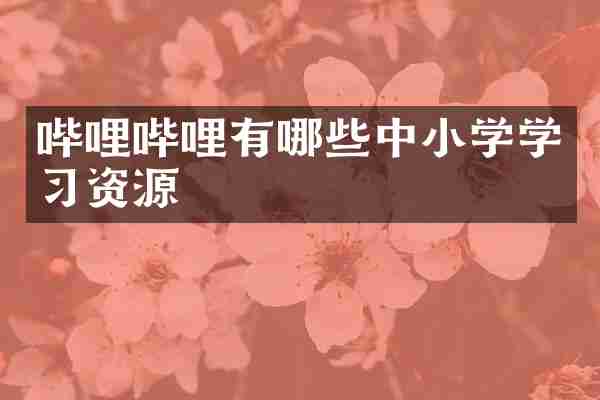 哔哩哔哩有哪些中小学学习资源
