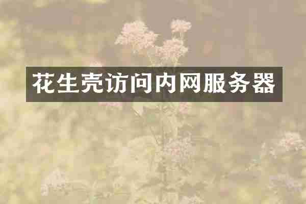 花生壳访问内网服务器