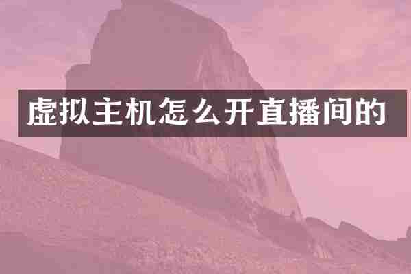 虚拟主机怎么开直播间的