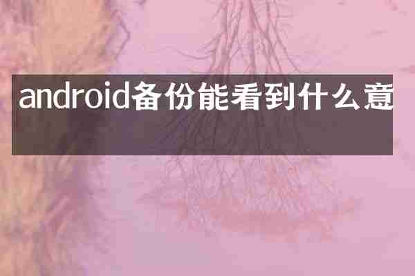 android备份能看到什么意思