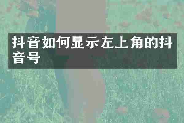 抖音如何显示左上角的抖音号