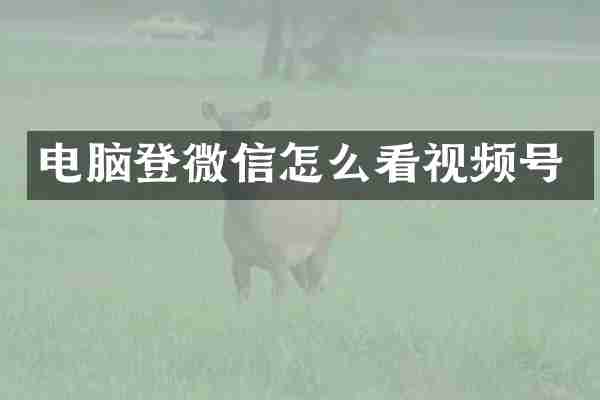 电脑登微信怎么看视频号