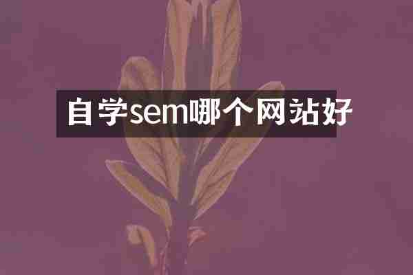 自学sem哪个网站好