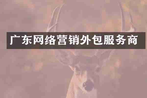 广东网络营销外包服务商