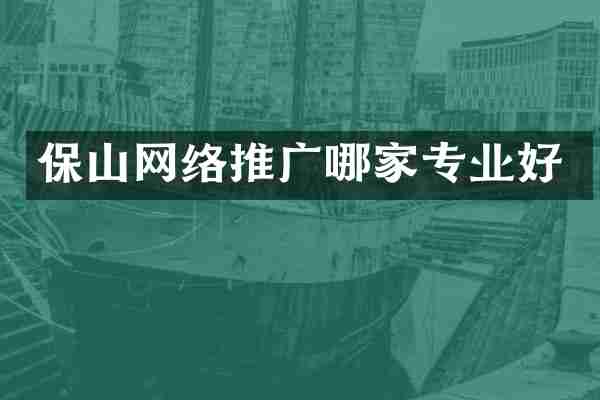 保山网络推广哪家专业好