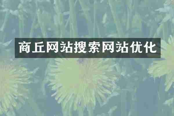 商丘网站搜索网站优化