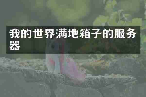 我的世界满地箱子的服务器