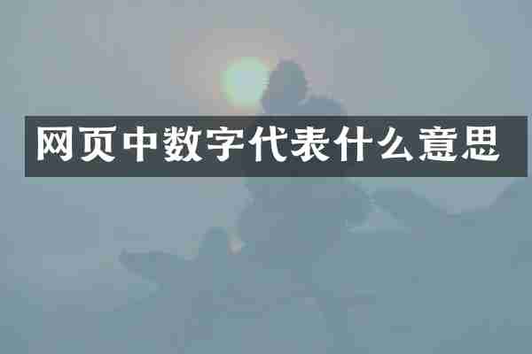 网页中数字代表什么意思