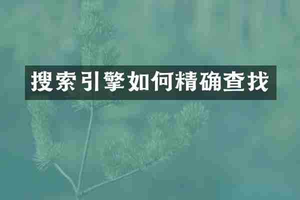 搜索引擎如何精确查找