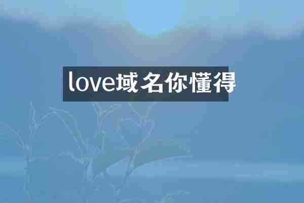 love域名你懂得