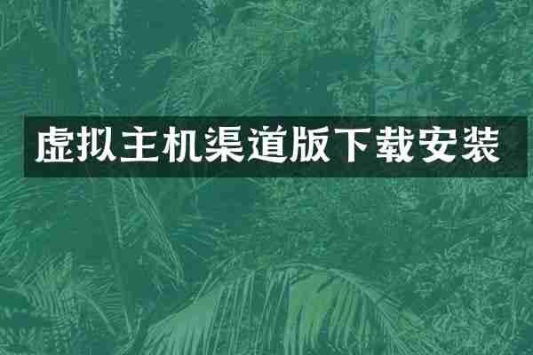 虚拟主机渠道版下载安装