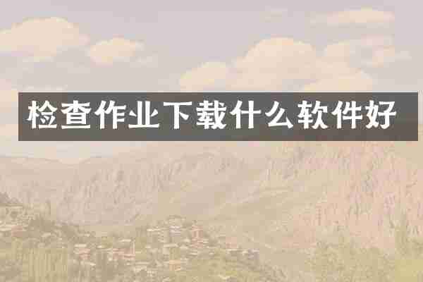 检查作业下载什么软件好