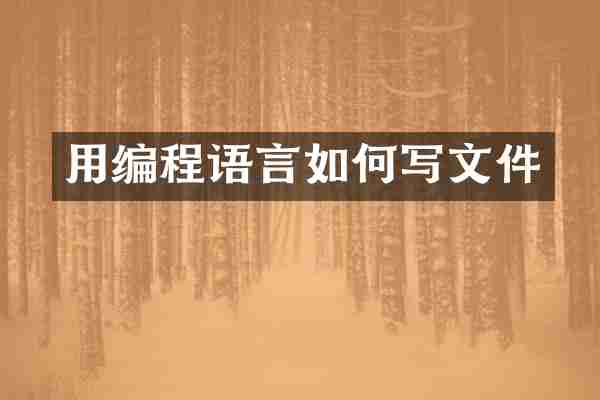 用编程语言如何写文件