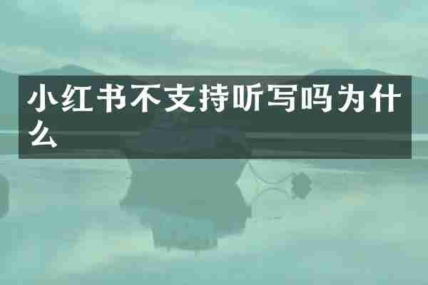 小红书不支持听写吗为什么
