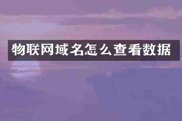 物联网域名怎么查看数据