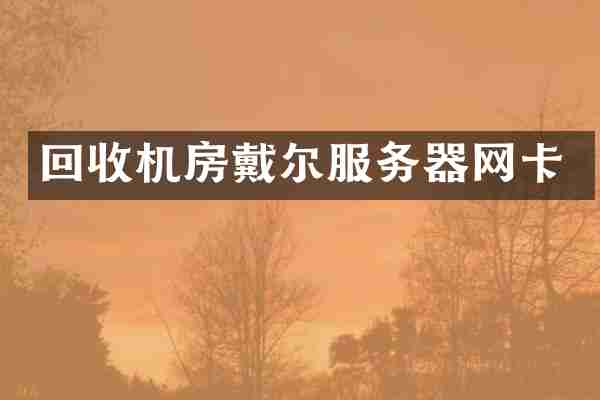 回收机房戴尔服务器网卡