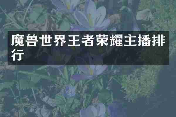 魔兽世界王者荣耀主播排行