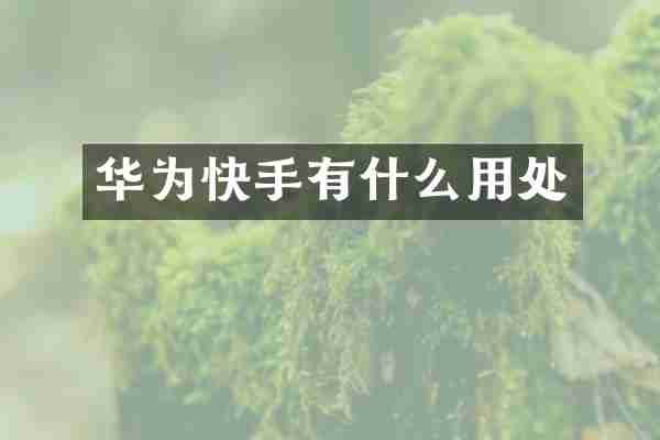华为快手有什么用处