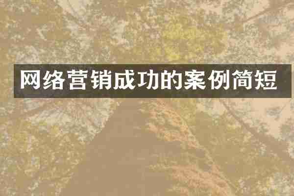 网络营销成功的案例简短