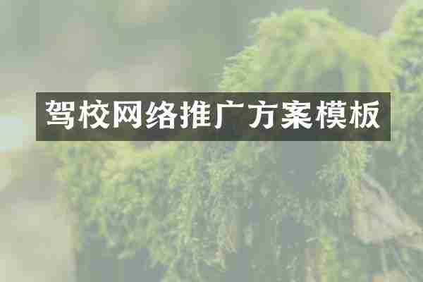 驾校网络推广方案模板