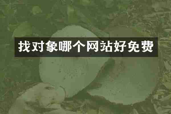 找对象哪个网站好免费