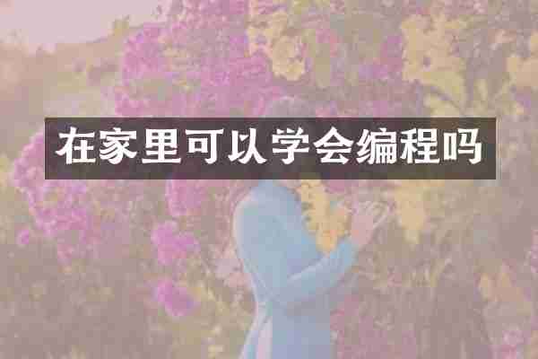 在家里可以学会编程吗