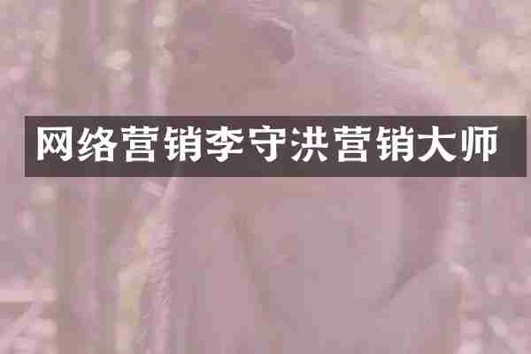 网络营销李守洪营销大师