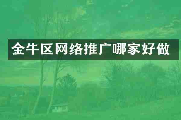金牛区网络推广哪家好做