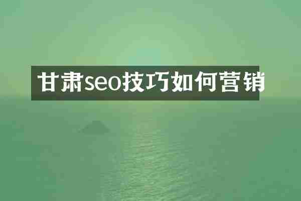 甘肃seo技巧如何营销